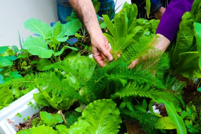 Foto 44 - Projeto área verde.jpg